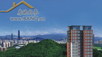 住宅新時代 的資產布局,銀湖藍山為遠見者準備